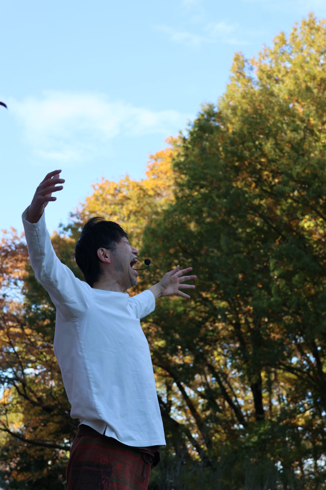 町田グリーンヨガフェスタin西園2025 開催報告 果樹園